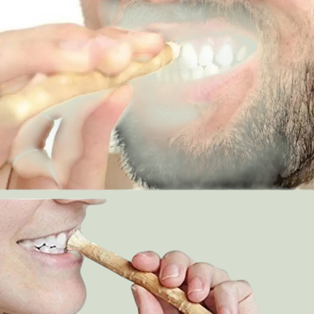 Miswak Toothbrush