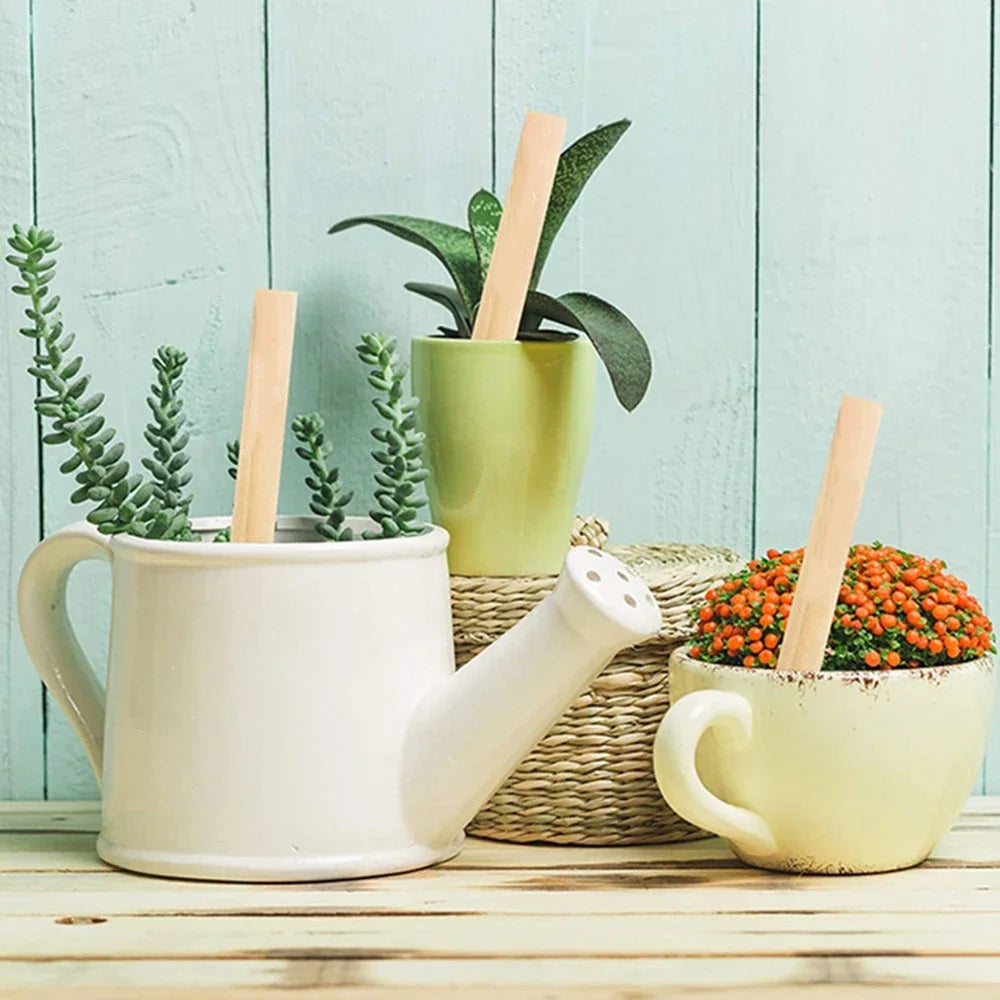Bamboo Plant Labels Eco-Friendly Wooden Plant Signage Card Tags Garden Markers for Seed Potted Herbs Flowers Vegetables Tools