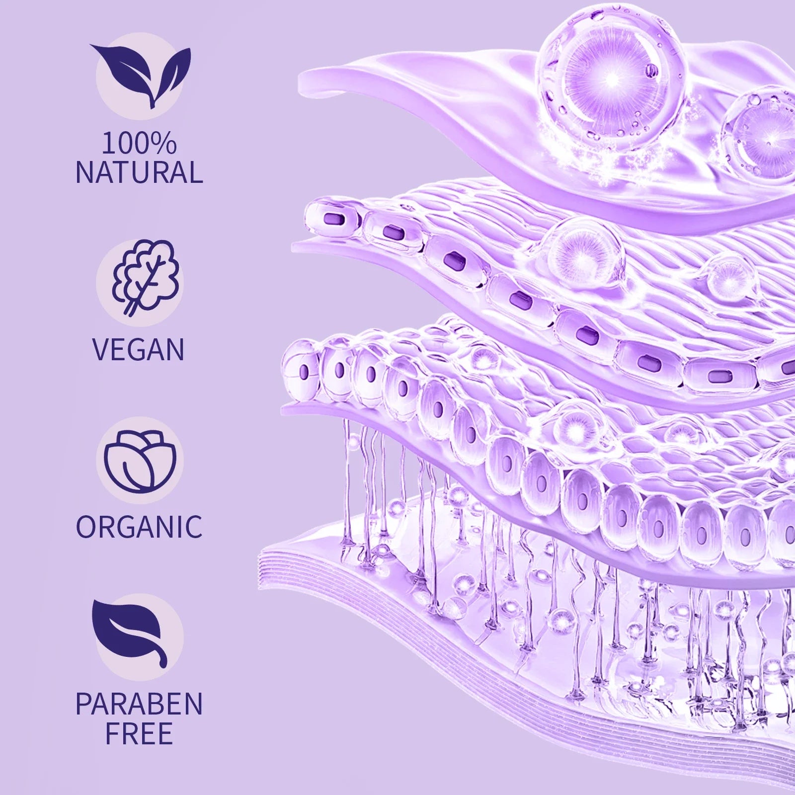 Botanical Anti-Aging Face Oil 60ml - Bakuchiol & Lavender Formula, Natural Retinol Alternative for Radiant Skin.