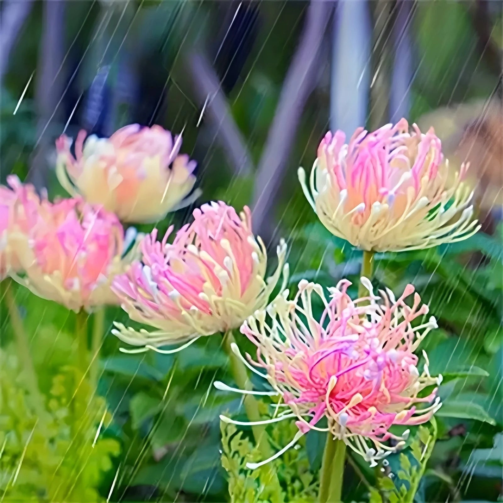 Solar Garden Lights Outdoor ,3-Heads Realistic Flower Solar Stake Lights Auto On/Off Decorative Lamp for Yard Patio Lawn Pathway