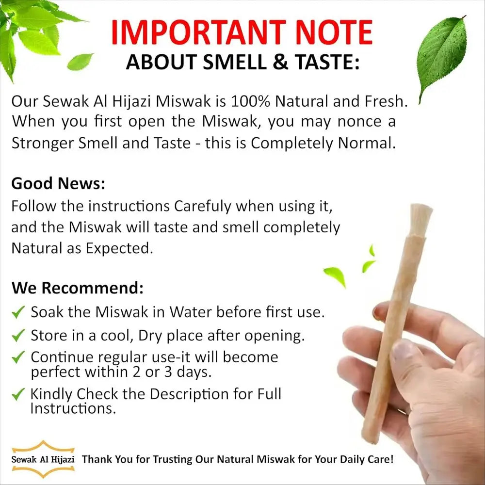 Eco Friendly No Toothpaste Needed Miswak Toothbrush Soft Bristles Traditional Miswak Sticks for Teeth Chewing Sticks Oral Care
