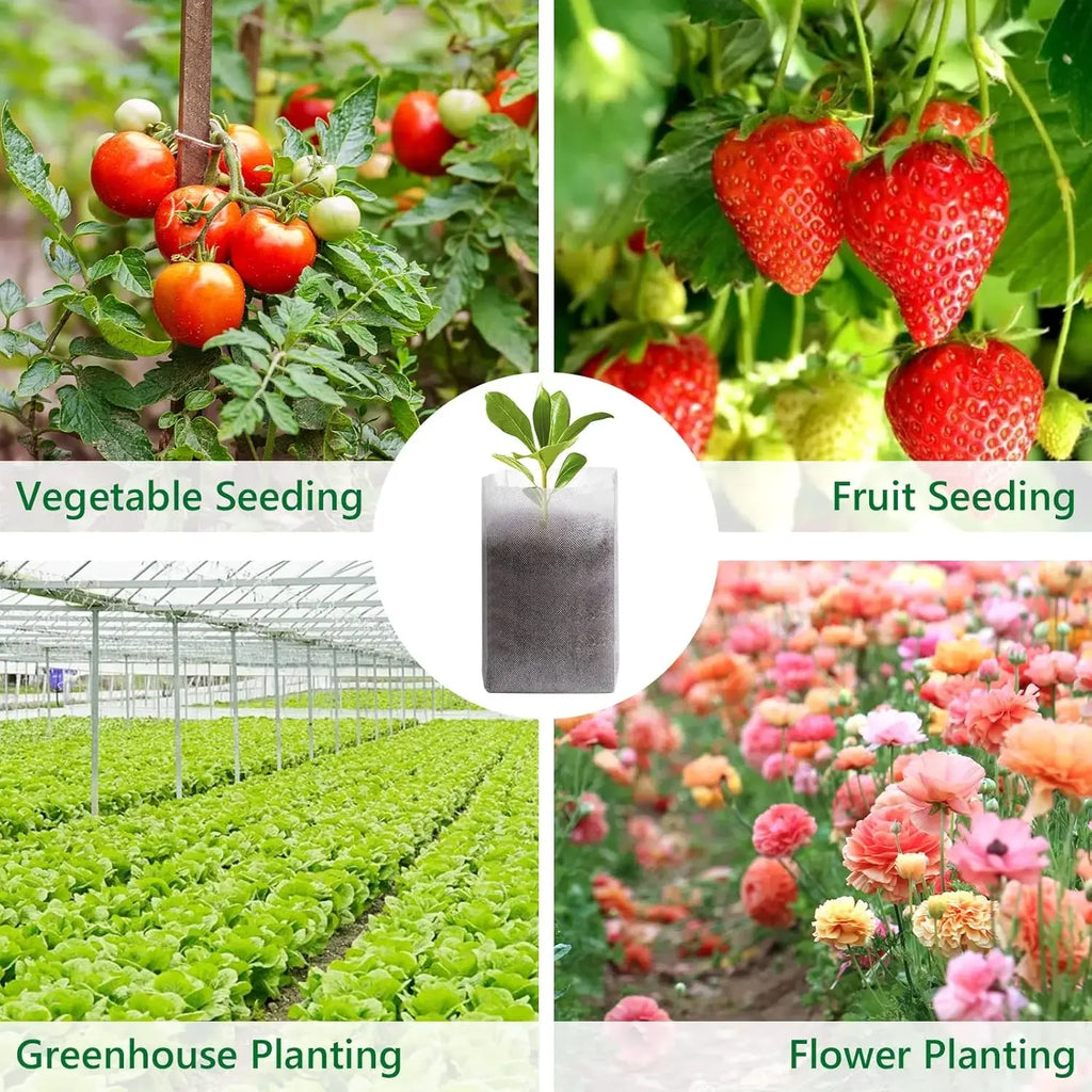 Eco-Friendly Fabric Seedling Bags Degradable Non-Woven Plant Pots for Gardening Breathable Nursery Containers for Vegetables