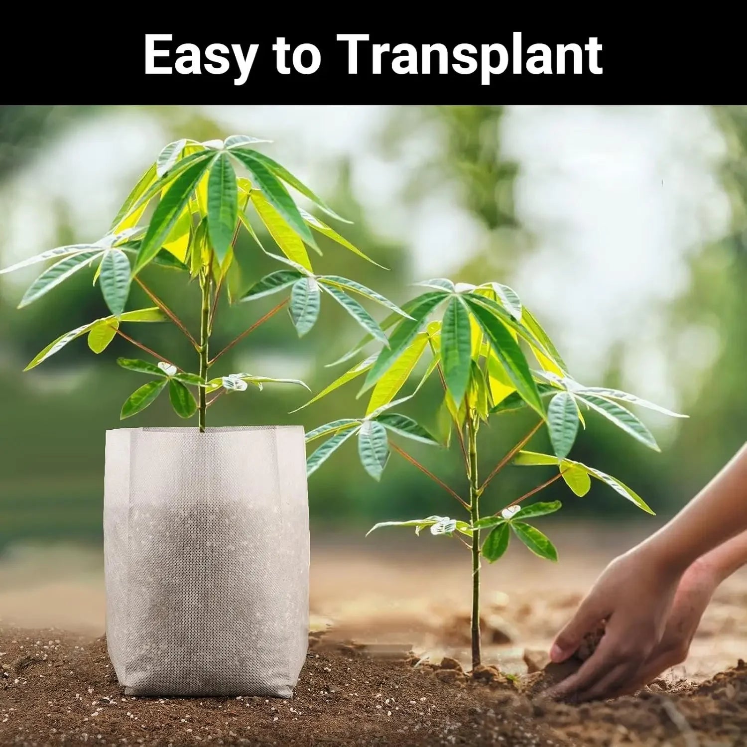 Eco-Friendly Fabric Seedling Bags Degradable Non-Woven Plant Pots for Gardening Breathable Nursery Containers for Vegetables