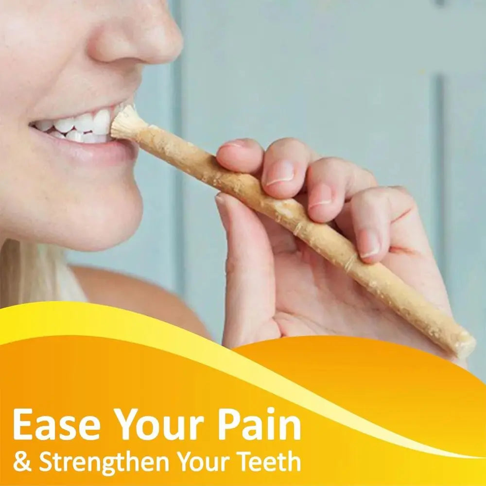 Eco Friendly No Toothpaste Needed Miswak Toothbrush Soft Bristles Traditional Miswak Sticks for Teeth Chewing Sticks Oral Care